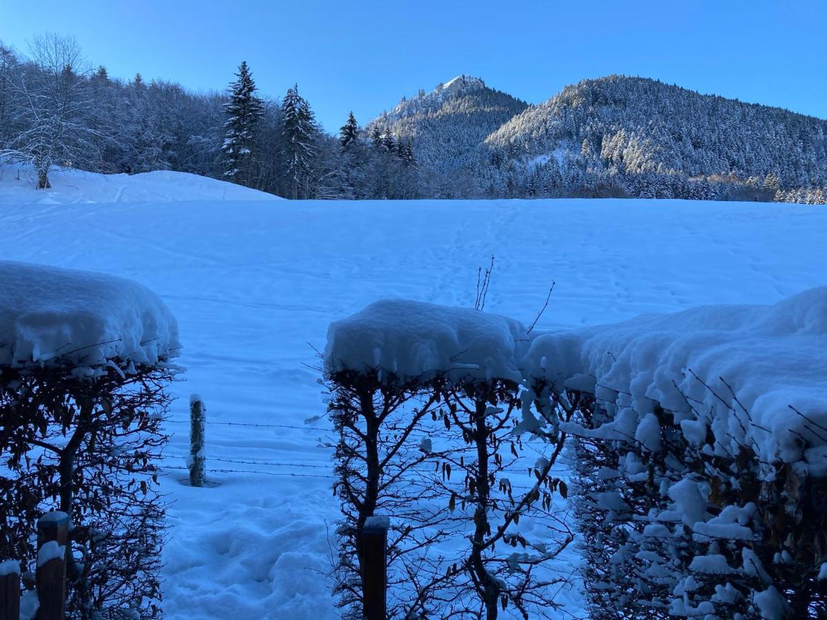 Appartement 2 Pieces Pieds Des Pistes Terrasse Face A La Montagne Bernex Exterior foto